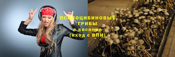 бошки Нея