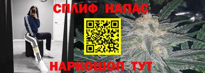 сатива Волжский